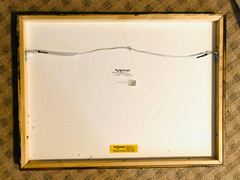 «Into the Woods» by Texas Photographer R. Maines, B&W signed, matt, glass, 1/1