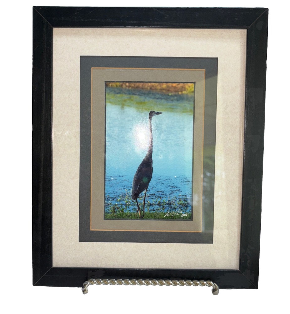 Louisiana Silhouette Of A Great Blue Heron Photo Print Signed & Dated