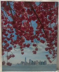 Metal Print Professional Photograph on Metal «New York Across the Bay» 16″ by 20