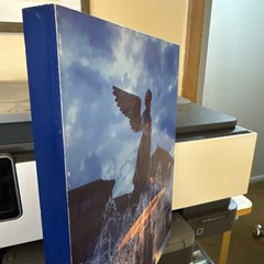 “Angel Of The Waters” Original Art Photo Mounted On Wood, 8×10, Blue