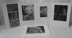 Original Signed Photos on Board Lot of 5 11 x 14 Whiteboard Various