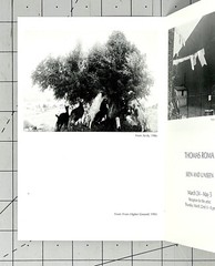 Thomas Roma (b. 1950) Art Show Announcement Card – Seen And Unseen