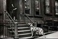 1940 1980s Original Helen Levitt New York City Street Great Dane Spot Art Photo