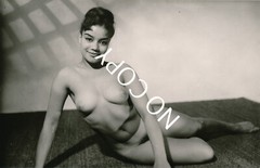 Photo art nude photo woman nude women art circa 1960. Unique X182