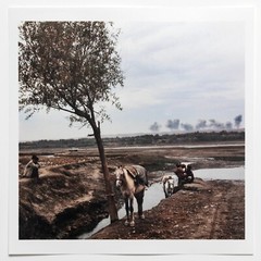 SIGNED Thomas Dworzak Print – Magnum Photos Square Print 6×6″