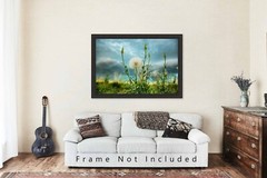 Dandelion Photography Print: Colorado Plains Botanical Stormy Nature Photo