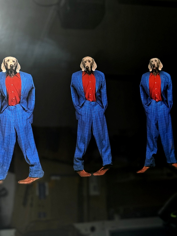 Fashion Photographs William Wegman 3 Weims picture custom framed/matted