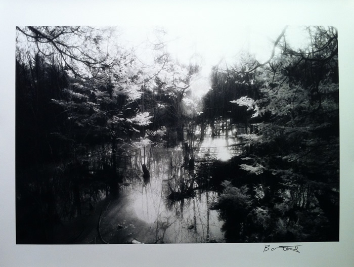Fine Art Photography – Wilderness Creek -S/N Silver gelatin