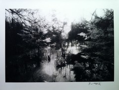 Fine Art Photography – Wilderness Creek -S/N Silver gelatin