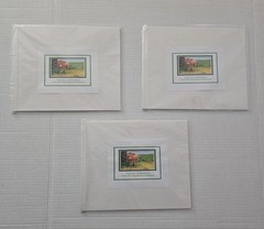 Lot of Hawaii Matted Photo Prints – Big Island Landscapes & Puna-tic Productions