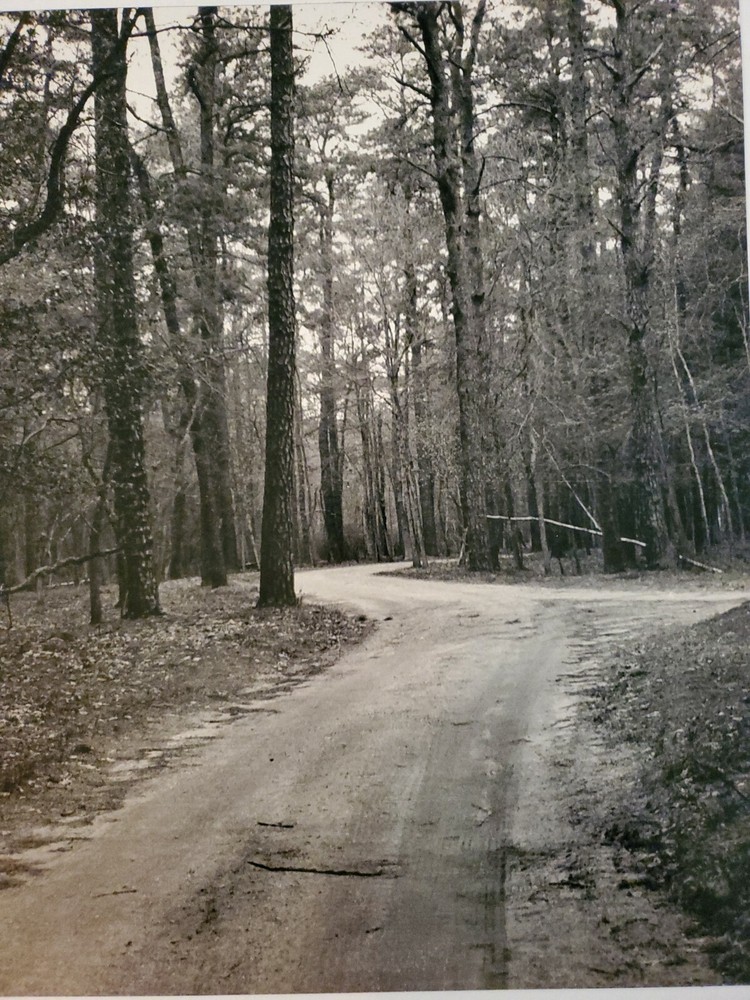 FOREST ROAD ORIGINAL SIGNED ART PHOTO B&W STETTNER VTG MATTE NJ CAMERA