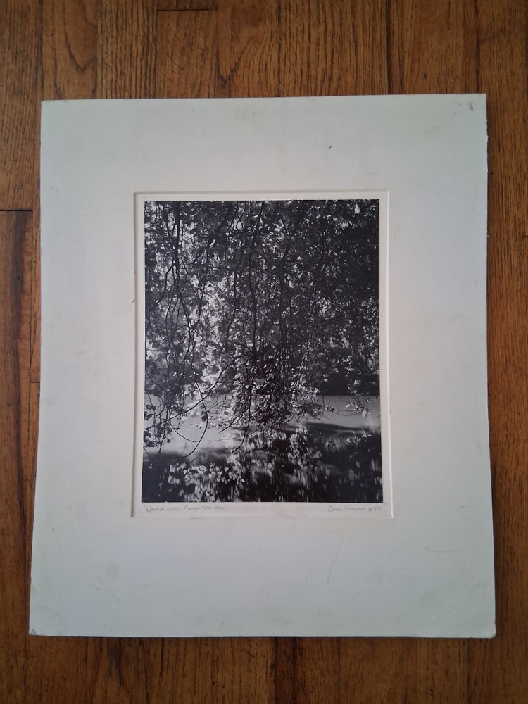 CHRIS HONEYSETT WEEPING WILLOW, GOVDEN GATE PARK PHOTOGRAPH SIGNED 1982