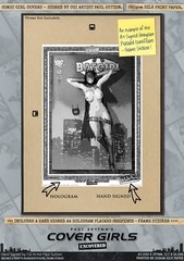 Batgirl SEXY Barbara Gordon Leslie Grace DC Comic A3 Print Cover Girls Gotham