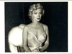 Marilyn Monroe 1953 Art Print Card Photo By Phil Stern Fotofolio 4”x6”