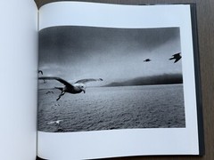 🎈Super RARE! Josef Koudelka – EXILES 1988, First Edition & PRINTING, Excellent