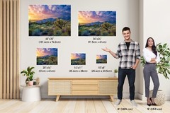Desert Wonderland: Painted Sky Sunset Sabino Canyon Wall Art Cactus Canvas Print