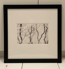 Black & White Wooden Frame Photography Art Work Collection