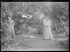 Garden, Nature, Lady in Dress, Glass Photo Plate, Black & White Negative 9×12 cm