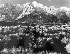 Western High-Desert Mountain Photo 20×24″ USA Nature Landscape Off-Grid Camping