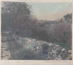 Wallace Nutting Orchard Heights Large 10×13″ Hand Tinted Photo Original Frame