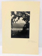 Hugo Brehme Photo Popocatépetl Mexican Black & White Fine Art Hand Signed Antiqu