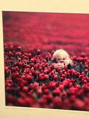 Original Signed Gregory Lawler, Framed Limited Edition- «Field of Dreams»