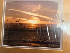 New Emmitt Phalen Sunset Geese Flock Over Water Framed Photograph Print