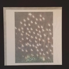 Magnum ABELARDO MORELL Square Print 6″x6″ ECLIPSE ON WOOD NEWFOUNDLAND Unopened