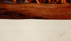 Martin Harvey Lions & Elephents at Waterhole 16×22