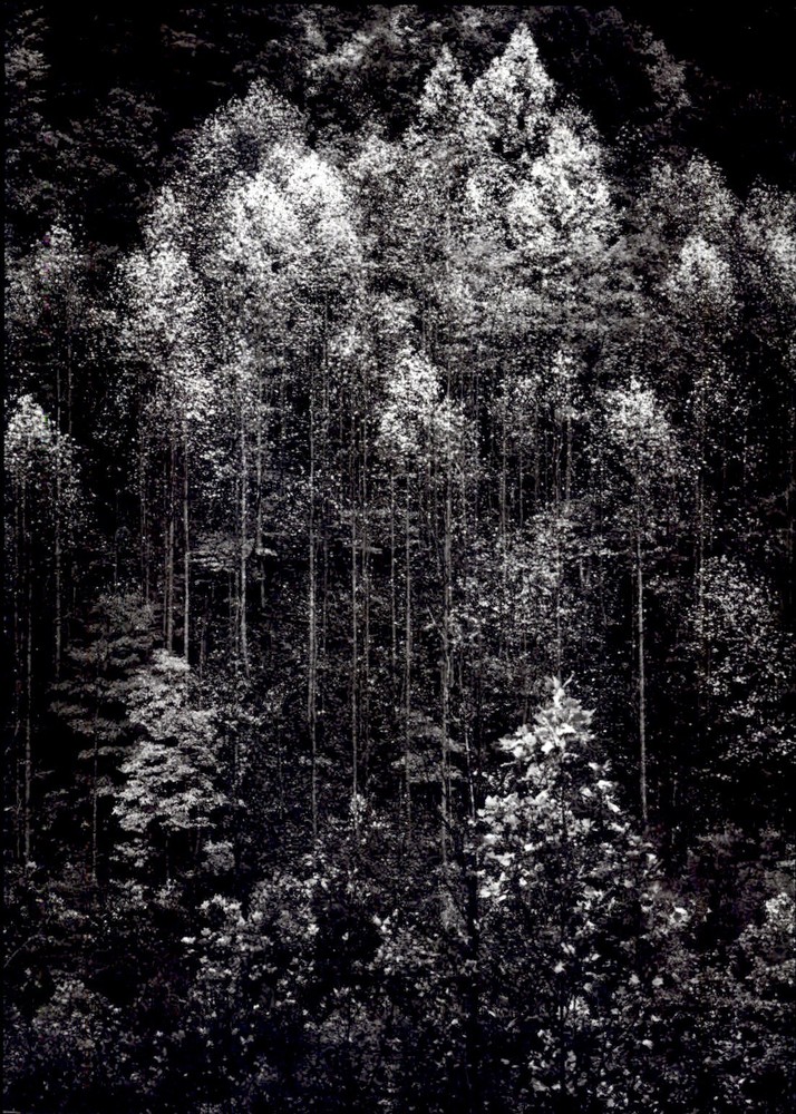 1972 1948 Ansel Adams Great Smokey Mountains Autumn At Dawn’s Light Art Photo