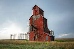 Country Photography Print – Picture of Old Wooden Grain Elevator in Texas