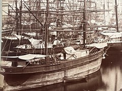 2 Album Photo Giacomo Brogi Circa 1870 Port Naples Napoli Italy 25x19cm (11+12)