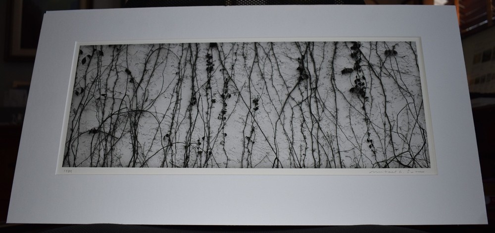 Michael A Smith Photography Signed «Vines on the Wall» Contact Print
