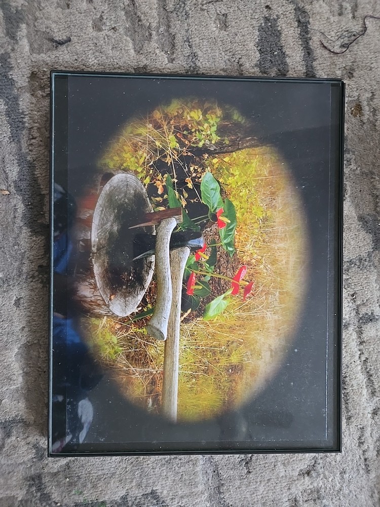Framed Photograph Of Mixed Art Including Nature And Axes In A Log