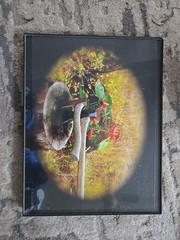 Framed Photograph Of Mixed Art Including Nature And Axes In A Log