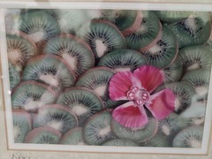 Kiwi Fruit Pink Flower Matted Framed Photograph Wall Decor White Frame 8×10