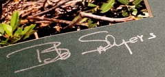 Signed Bob Salyers Heron & Egret Wildlife Photo Prints Pair 11×14 2005 Matted