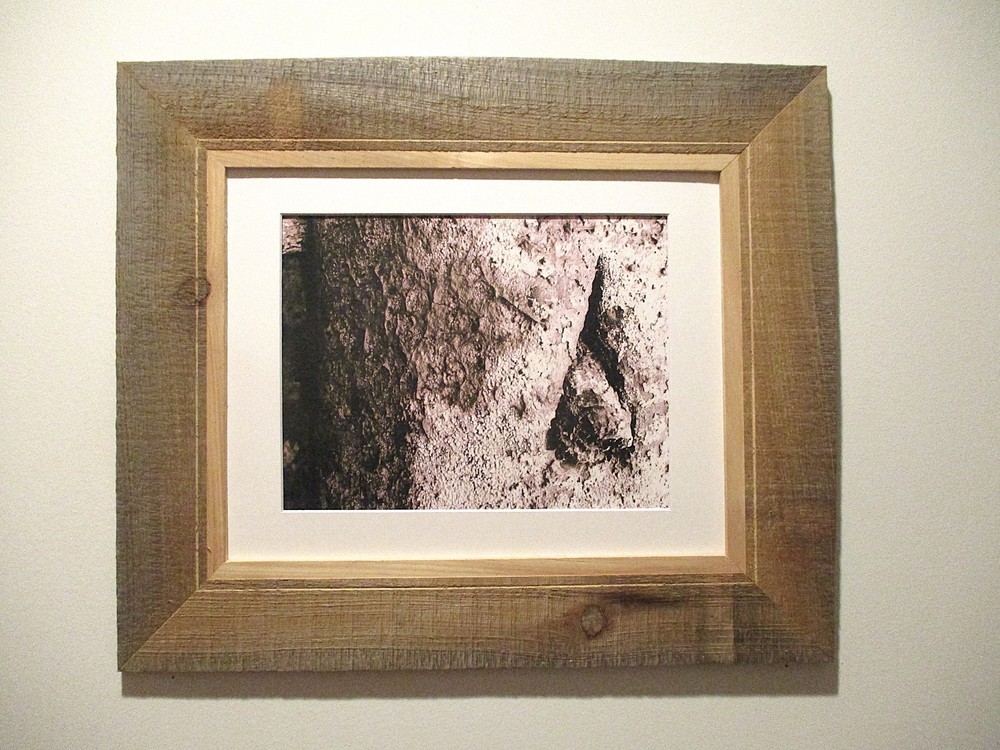 fine art black and white photographs north woods strange