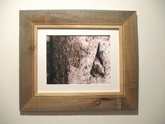fine art black and white photographs north woods strange