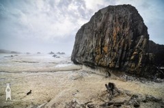 Seal Rock – Oregon Coast Hwy 101 Photography Décor – Pacific Northwest Fine Art