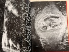 🎈SIGNED Nobuyoshi Araki – EROTOS, First Edition 1993, Japan, HC, LIBRO, SupRARE
