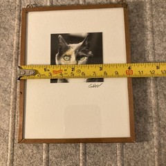 Calico Cat Portrait Soddered Copper Frame Photograph Miniature Artsy Tom Cat