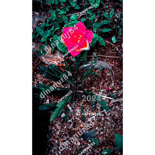 Image Image Photo Wallpaper Background Desktop Art ( Sample Product )