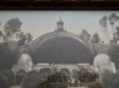 Hand Tint Oil Color Photo Botanical Bldg Balboa Park Ca 8”x12” 1915 Exposition