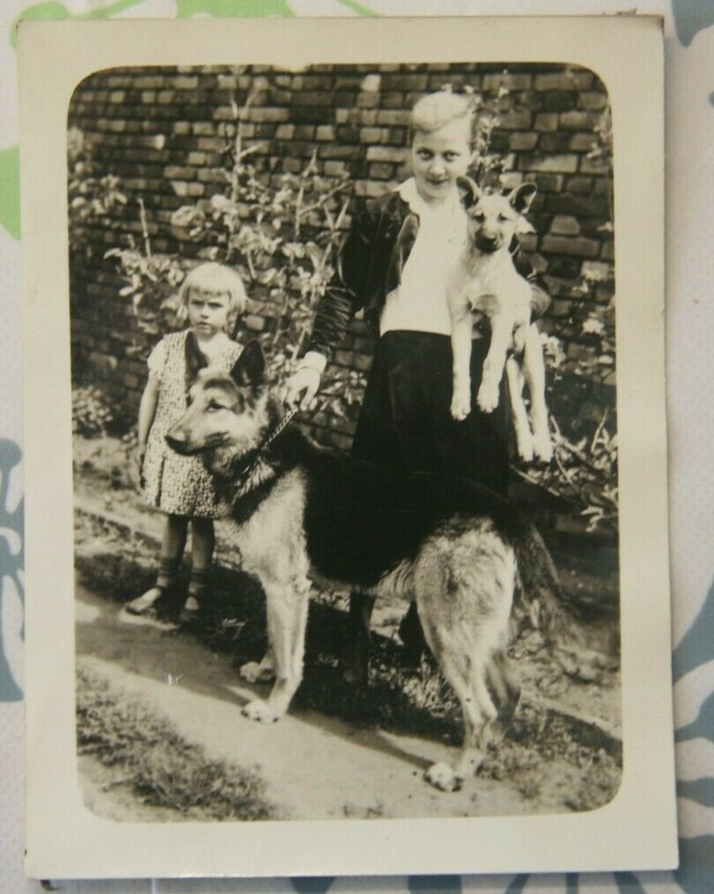 Foto 1929 girl woman mädchen kind schäferhund dog M6