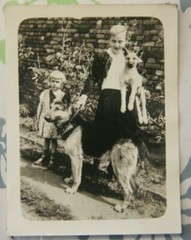 Foto 1929 girl woman mädchen kind schäferhund dog M6
