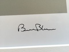 BRUCE BLUM SIGNED COLOR Photo Print (24″X 18 3/4″)-«Begonia «