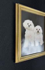 Vtg Original Framed Portrait White Maltese Dogs Gold Color Wood Ready To Hang
