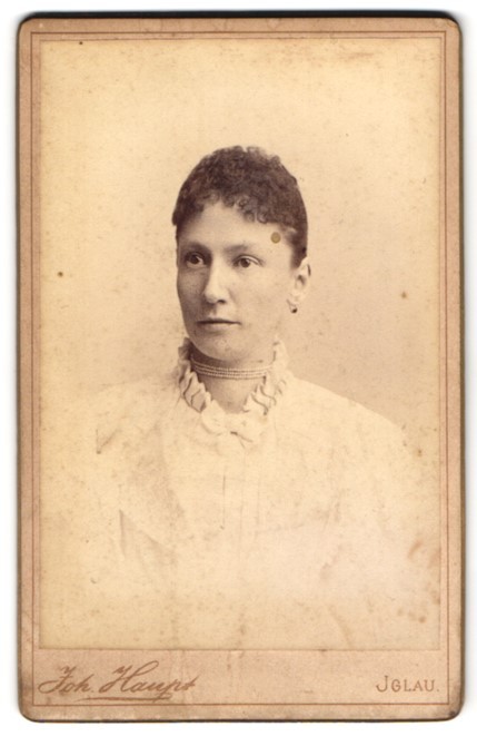 Photograph Joh. Haupt, Iglau, Tiefgasse 11, portrait of an elegant lady
