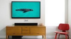 A Sea Lion Swimming, High Resolution Image, Many Formats, TV Art